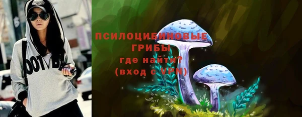 бутират Дмитриев