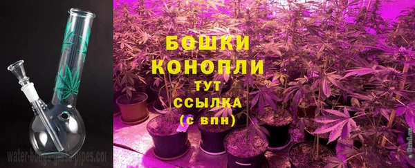 бутират Дмитриев