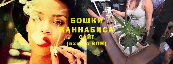 СК Дмитровск