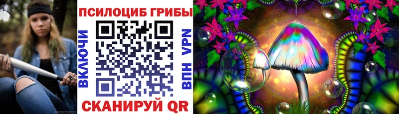 Купить закладки  Нововоронеж  Галлюциногенные грибы Psilocybine cubensis 